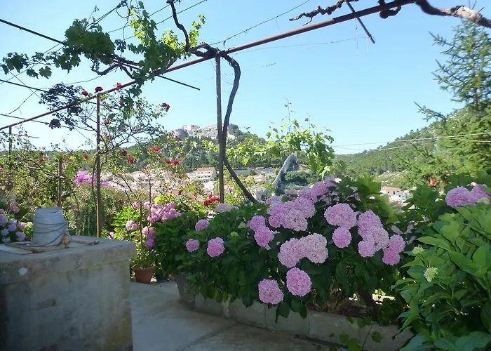 Gasthuis Bracanovic Hvar Town