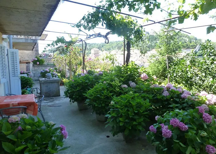 Bracanovic Gasthuis 3*